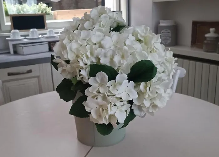 卡尔杜奇旅馆 4* 科莫